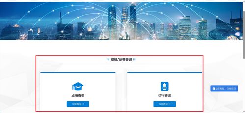 信息技術咨詢 1+x成績查詢及職業技能等級證書下載超詳細指南