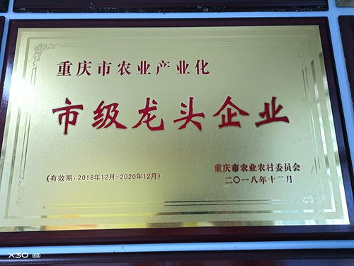 渝米集團(tuán)投資近1000萬元大米智能生產(chǎn)線 已完成地面平整